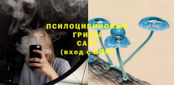 герыч Новокубанск