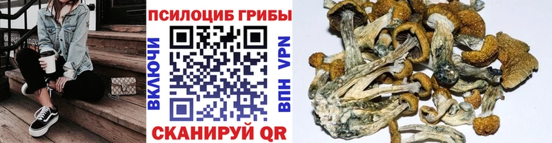 Галлюциногенные грибы мицелий  kraken вход  Баксан  купить  