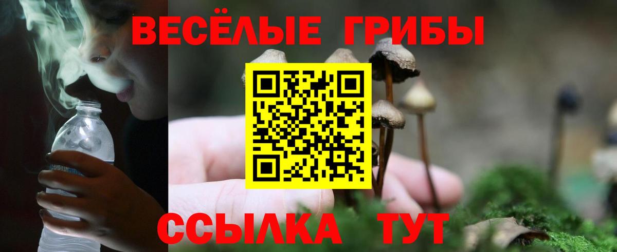 Галлюциногенные грибы Magic Shrooms Баксан