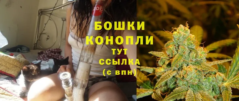 цена   Баксан  Марихуана OG Kush 