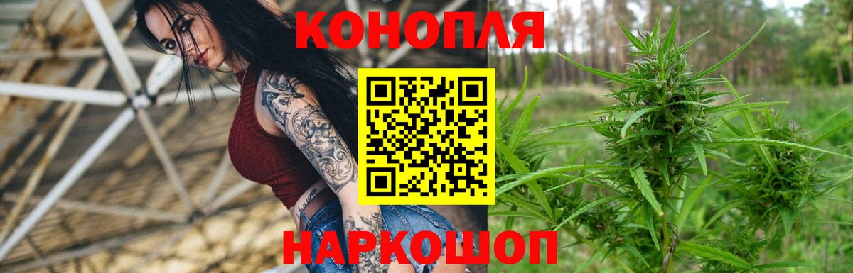 Конопля OG Kush Баксан
