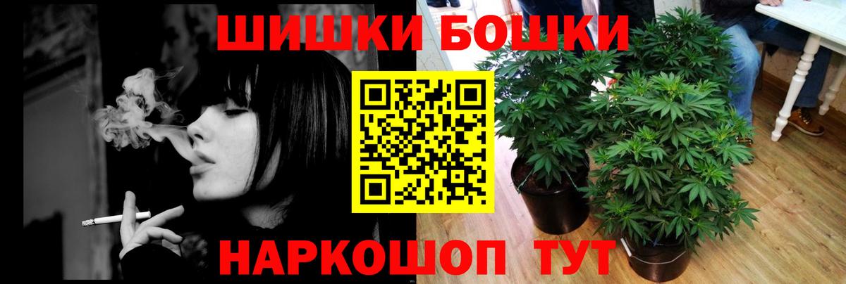 Марихуана сатива Баксан
